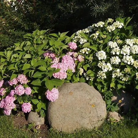 Land Fleesensee